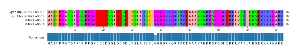 Multiple Alignments (by translate haplotype similarity)