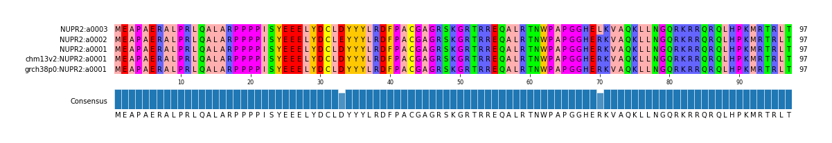 Multiple Alignments (by translate haplotype similarity)
