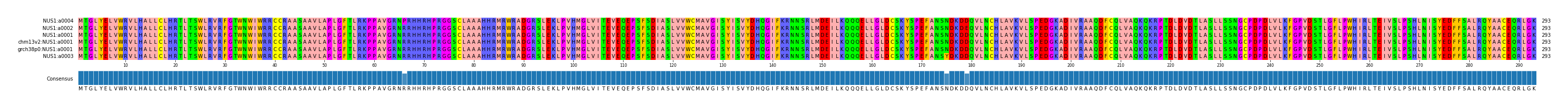 Multiple Alignments (by translate haplotype similarity)