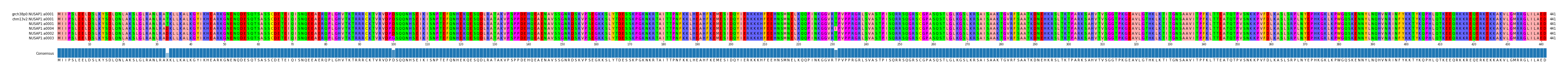 Multiple Alignments (by translate haplotype similarity)