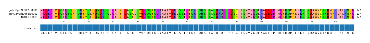 Multiple Alignments (by translate haplotype similarity)