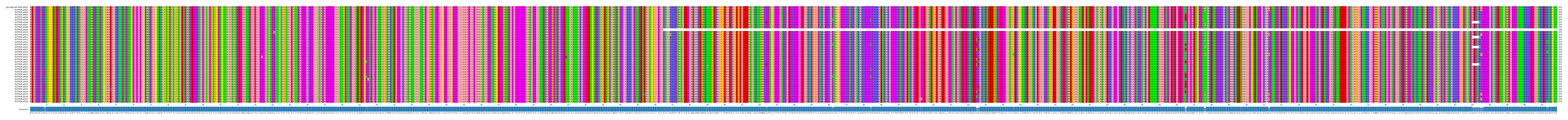 Multiple Alignments (by translate haplotype frequency)