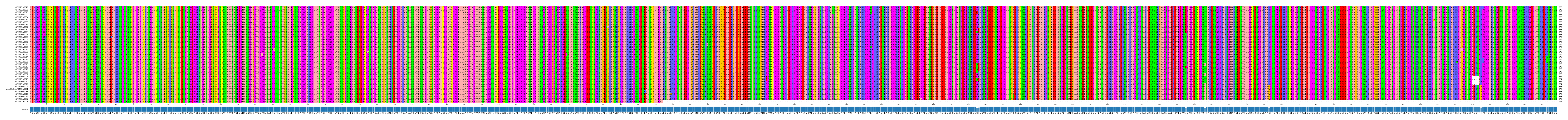 Multiple Alignments (by translate haplotype similarity)