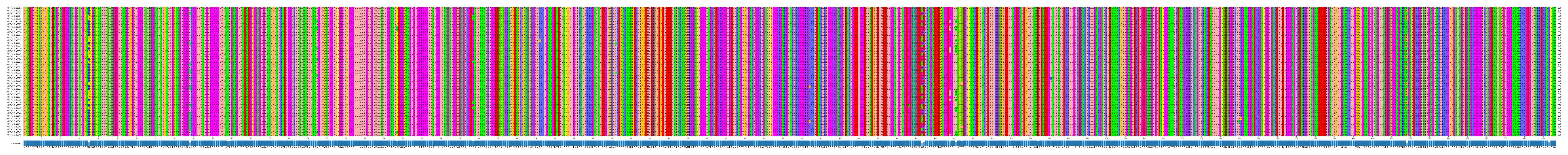 Multiple Alignments (by translate haplotype frequency)