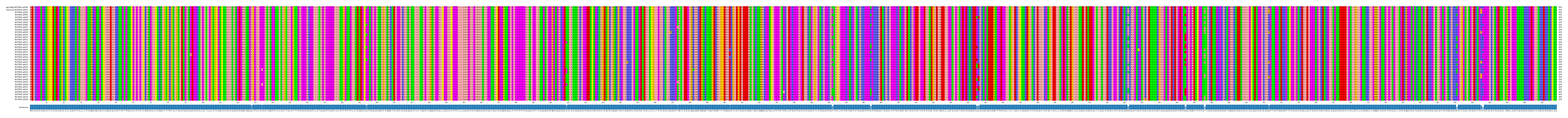 Multiple Alignments (by translate haplotype frequency)