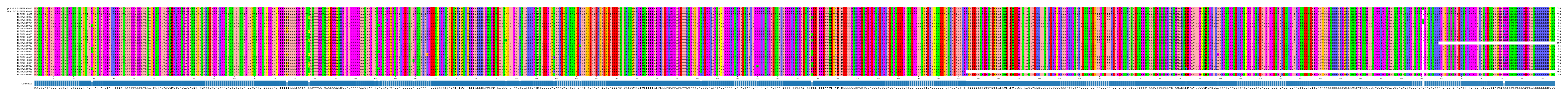 Multiple Alignments (by translate haplotype frequency)