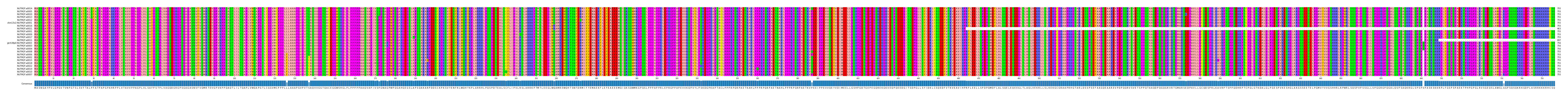 Multiple Alignments (by translate haplotype similarity)