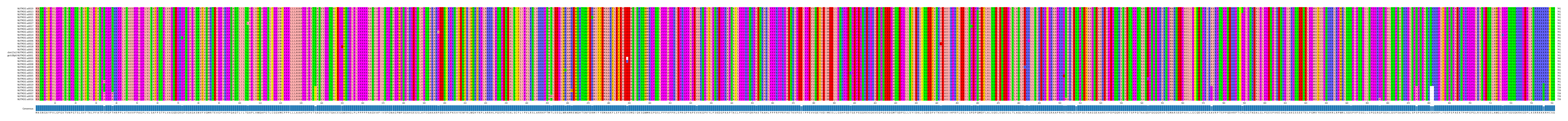 Multiple Alignments (by translate haplotype similarity)