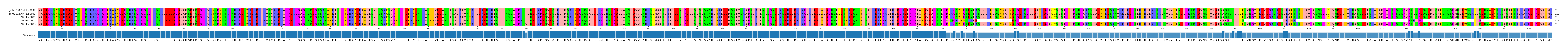 Multiple Alignments (by translate haplotype frequency)
