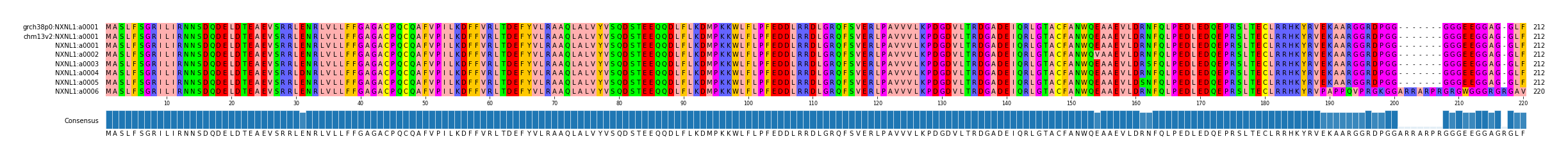Multiple Alignments (by translate haplotype frequency)