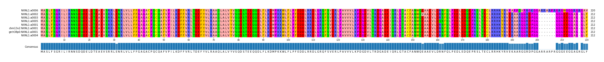 Multiple Alignments (by translate haplotype similarity)
