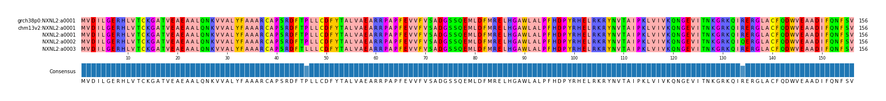 Multiple Alignments (by translate haplotype frequency)