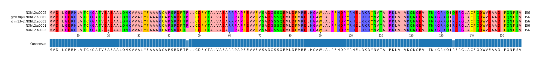 Multiple Alignments (by translate haplotype similarity)