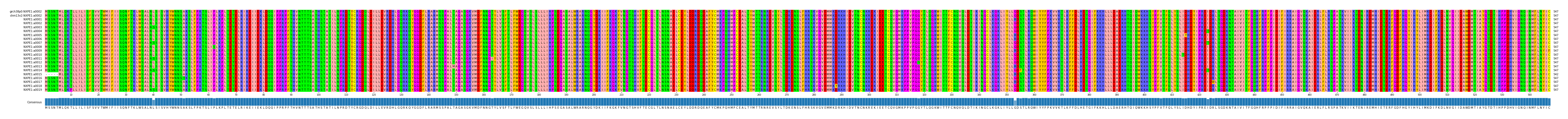 Multiple Alignments (by translate haplotype frequency)