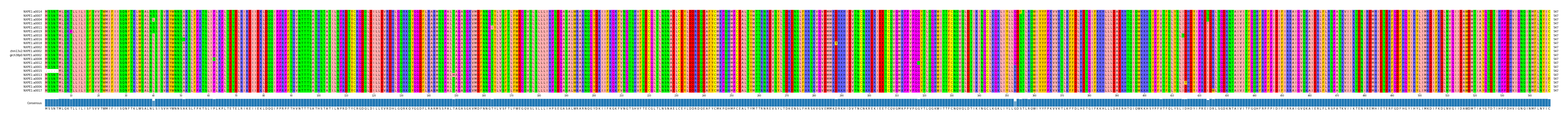 Multiple Alignments (by translate haplotype similarity)