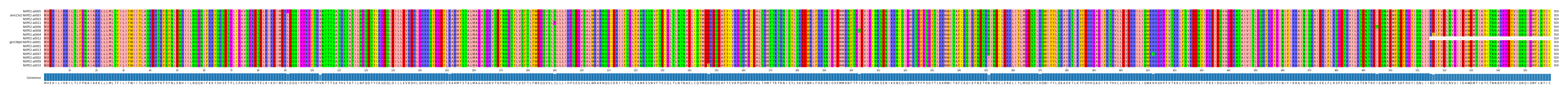 Multiple Alignments (by translate haplotype similarity)