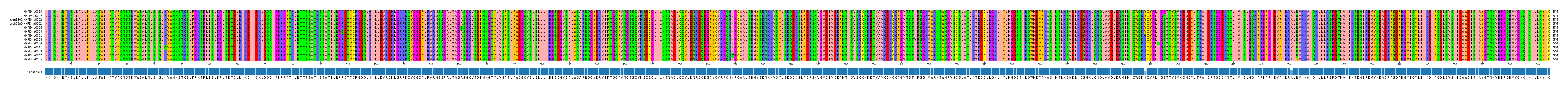 Multiple Alignments (by translate haplotype similarity)