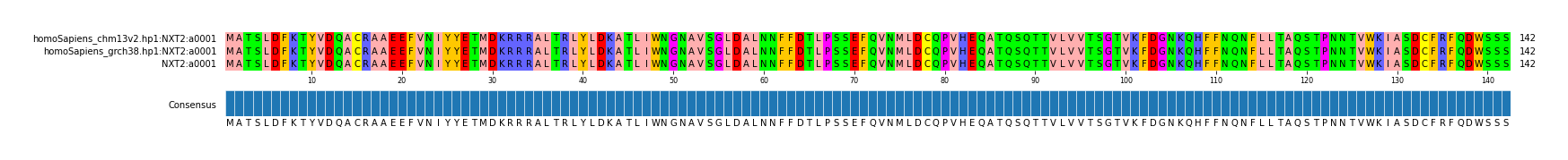 Multiple Alignments (by translate haplotype similarity)