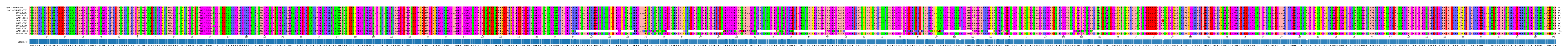 Multiple Alignments (by translate haplotype frequency)