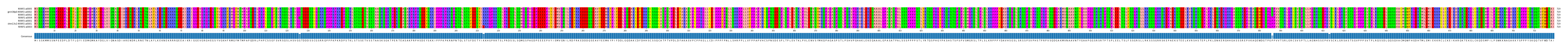 Multiple Alignments (by translate haplotype similarity)