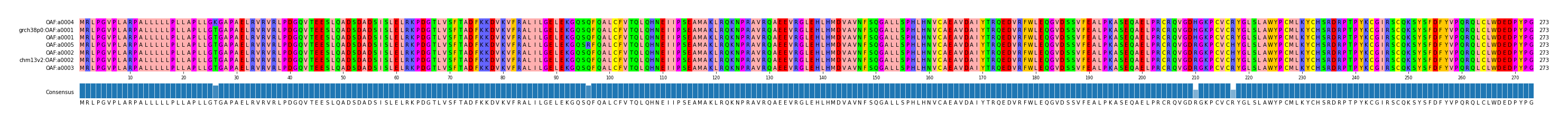 Multiple Alignments (by translate haplotype similarity)