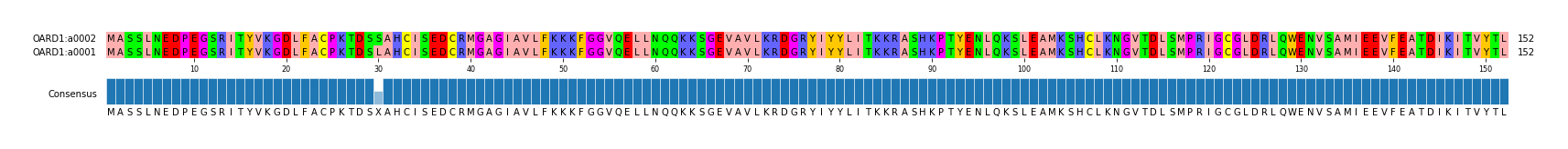 Multiple Alignments (by translate haplotype similarity)