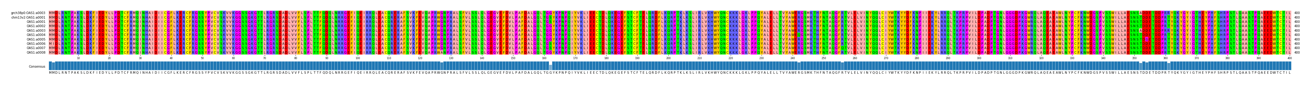 Multiple Alignments (by translate haplotype frequency)