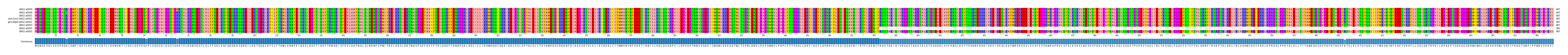 Multiple Alignments (by translate haplotype similarity)