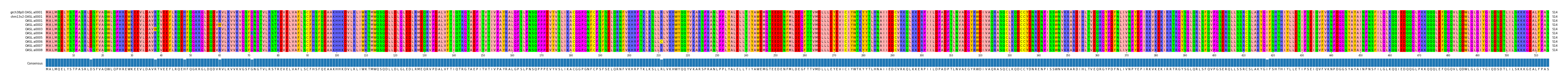 Multiple Alignments (by translate haplotype frequency)