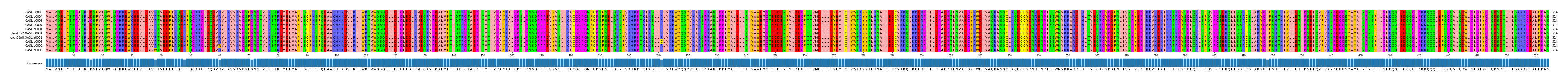 Multiple Alignments (by translate haplotype similarity)