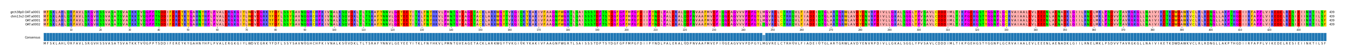 Multiple Alignments (by translate haplotype similarity)