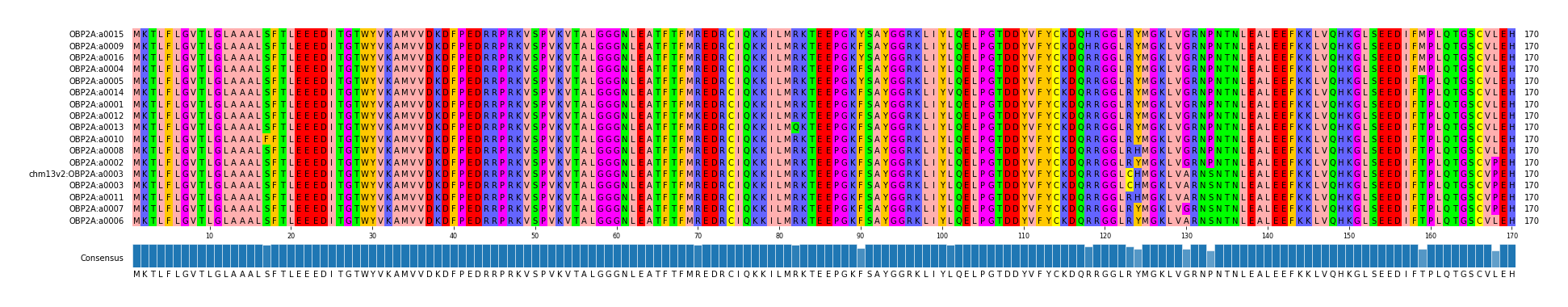 Multiple Alignments (by translate haplotype similarity)