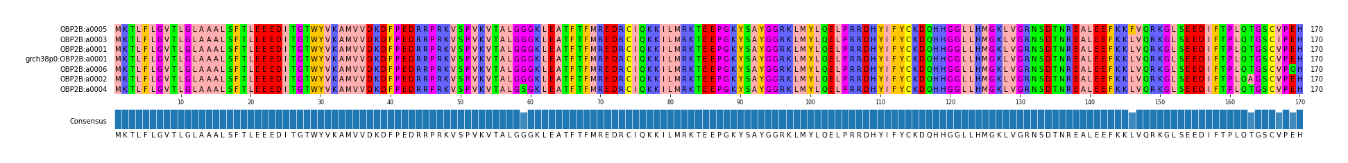 Multiple Alignments (by translate haplotype similarity)