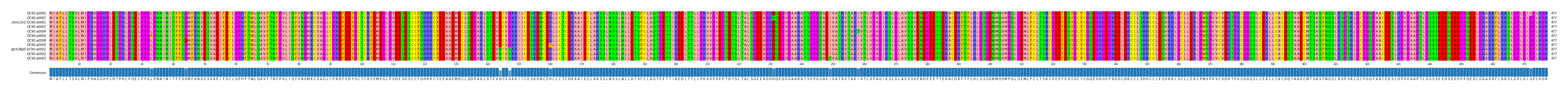 Multiple Alignments (by translate haplotype similarity)