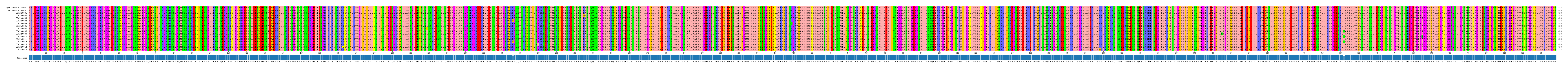 Multiple Alignments (by translate haplotype frequency)