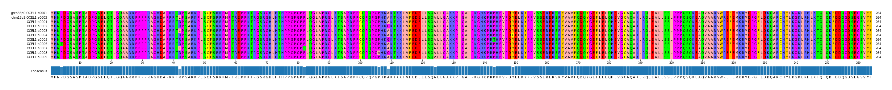 Multiple Alignments (by translate haplotype frequency)