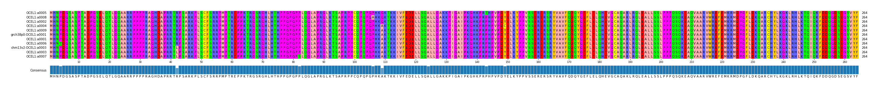 Multiple Alignments (by translate haplotype similarity)