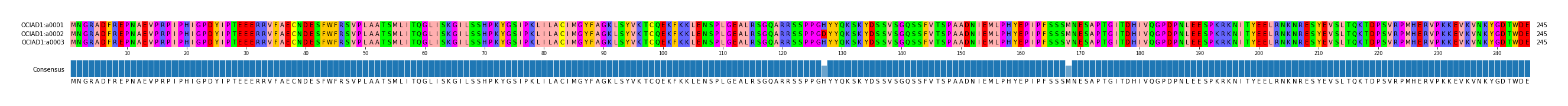 Multiple Alignments (by translate haplotype frequency)