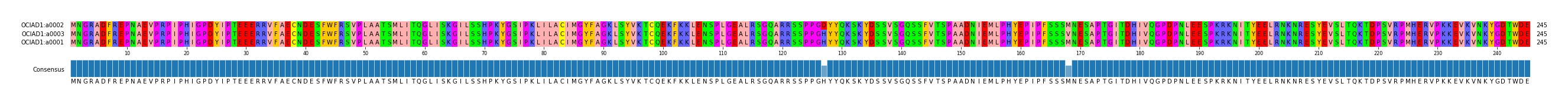 Multiple Alignments (by translate haplotype similarity)