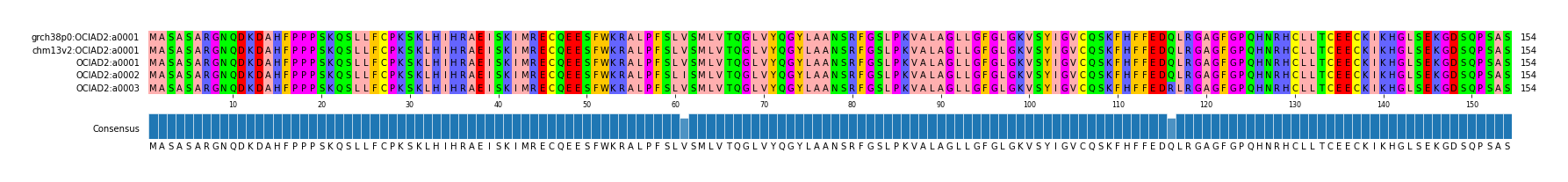 Multiple Alignments (by translate haplotype frequency)