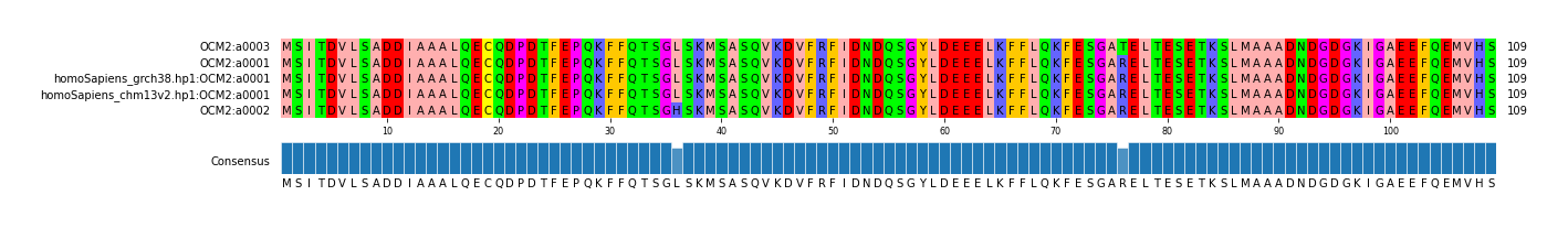 Multiple Alignments (by translate haplotype similarity)