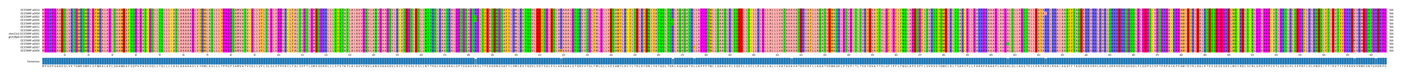 Multiple Alignments (by translate haplotype similarity)