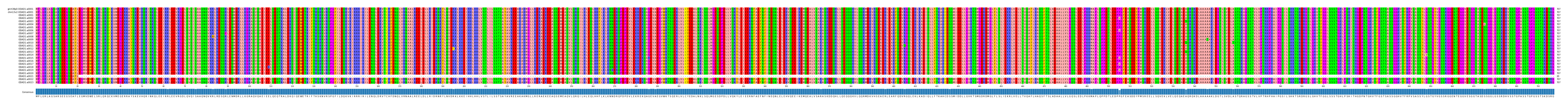 Multiple Alignments (by translate haplotype frequency)