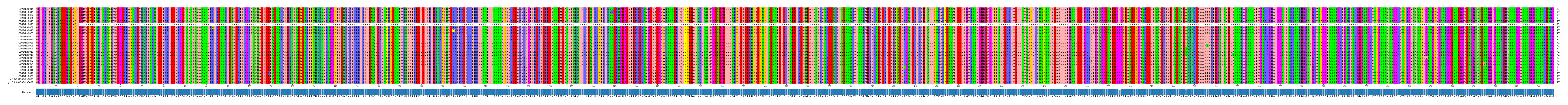 Multiple Alignments (by translate haplotype similarity)