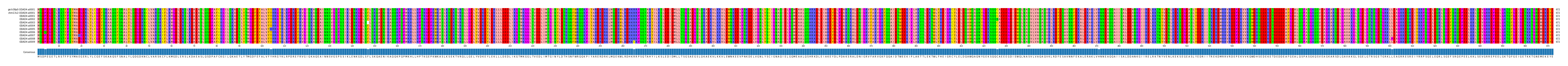 Multiple Alignments (by translate haplotype frequency)