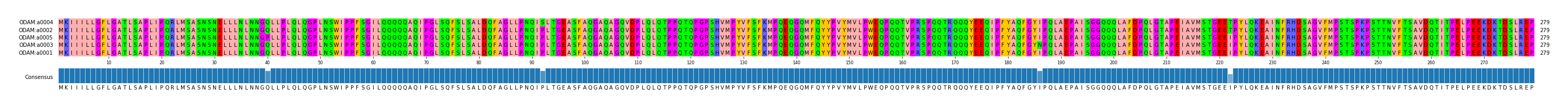 Multiple Alignments (by translate haplotype similarity)
