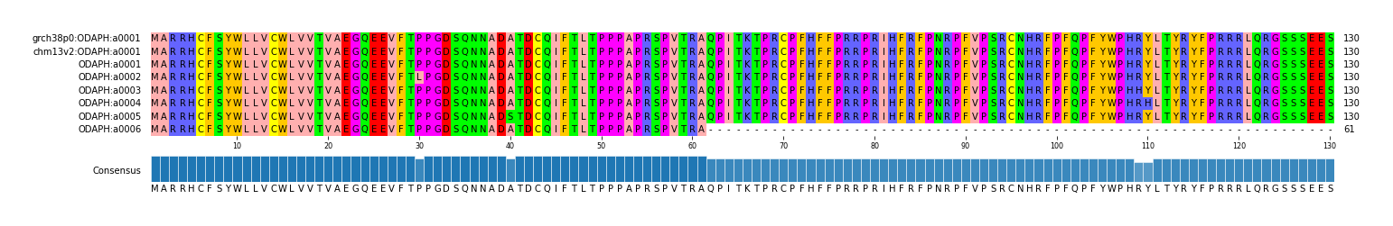 Multiple Alignments (by translate haplotype frequency)