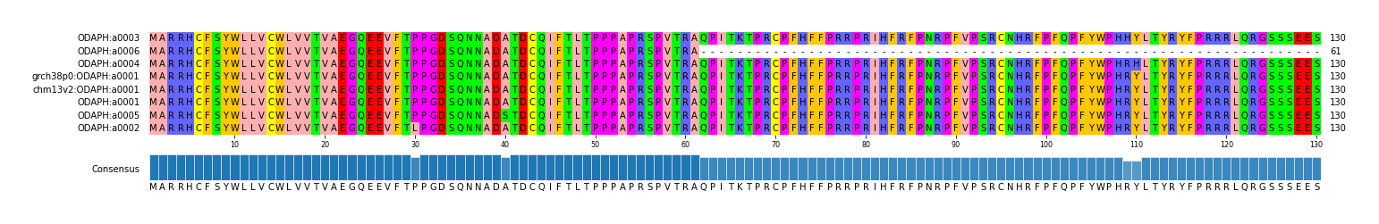 Multiple Alignments (by translate haplotype similarity)