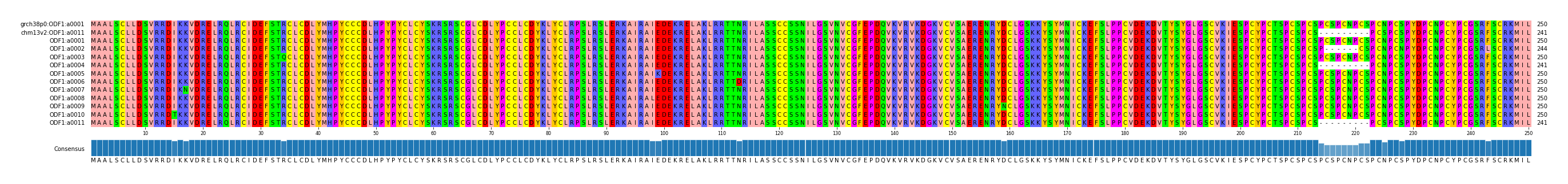 Multiple Alignments (by translate haplotype frequency)
