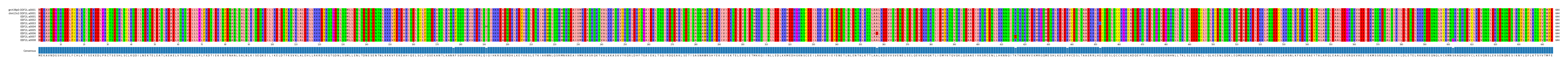 Multiple Alignments (by translate haplotype frequency)